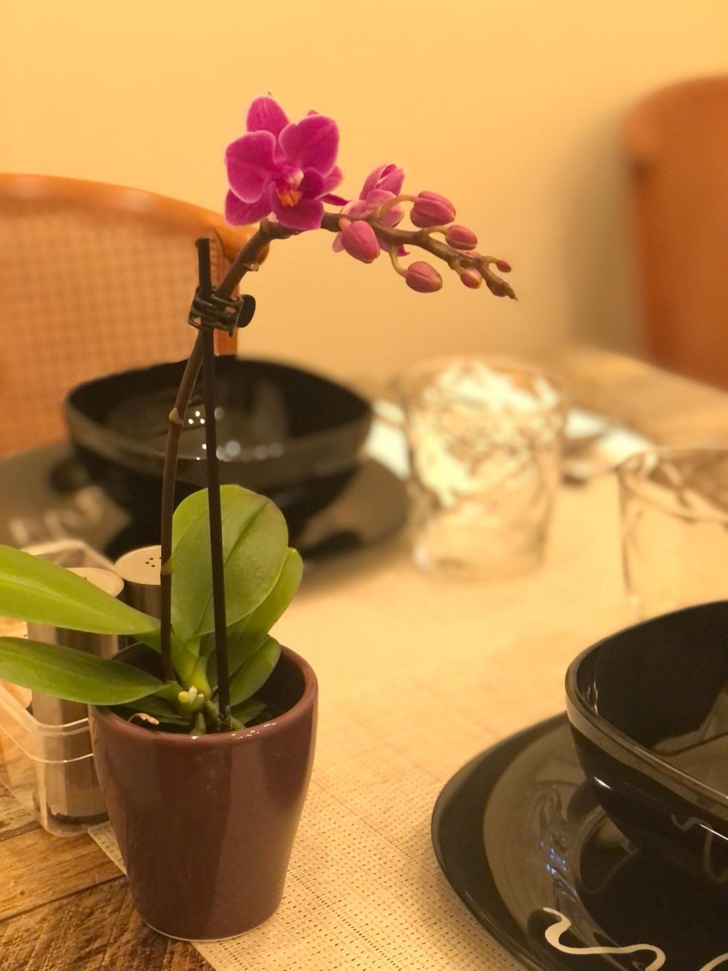 Serenity B&B Brescia Ngoại thất bức ảnh
